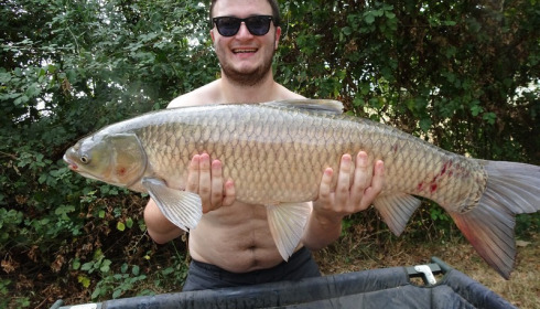 A grass carp from Lillypool, Gavin ODonnell, Sep 2016