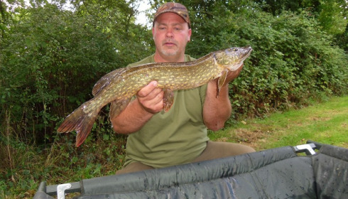 A fish from Lillypool, Brian Edwards, Sep 2015