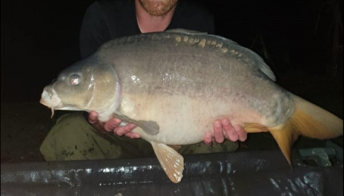 A 39 lb 8 oz carp from Lillypool, Ian Mason, Oct 2019