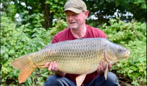 A 27 lb carp from Lillypool, Dave Fisher, Jun 2019