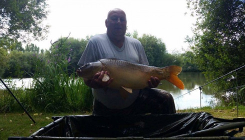A 29 lb carp from Lillypool, Mr. B, Aug 2016