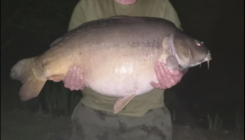 A 51 lb 11 oz carp from Lillypool, Kelvin Gregory, Mar 2019