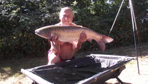 A grass carp from Lillypool, Dave Lock, Sep 2016