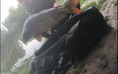 A 26 lb 7 oz carp from Lillypool, Danny Brewster, Jun 2018