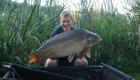A 29 lb carp from Lillypool, Lee Turley, Aug 2016