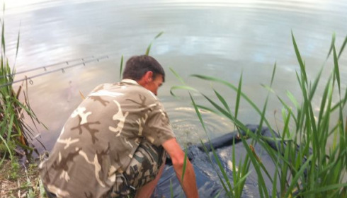 A carp from Lillypool, Aug 2011