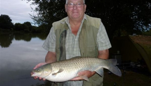 A carp from Lillypool, Phil, Aug 2010