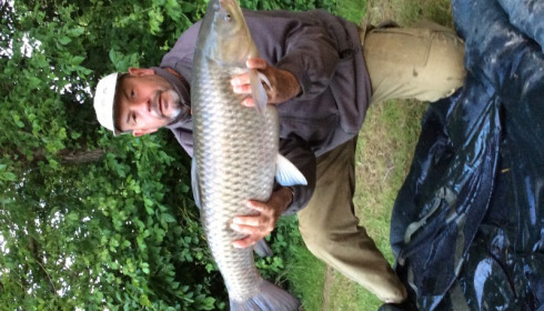 A 25 lb 8 oz grass carp from Lillypool, Anthony Carver, May 2015