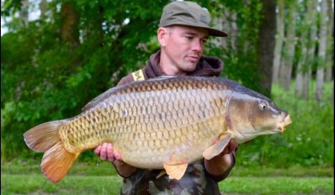 A 35 lb 12 oz carp from Lillypool, Lee Fisher, Jun 2019
