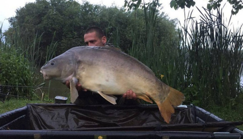 A 38 lb 14 oz carp from Lillypool, Kevin Holbrook, Jun 2016