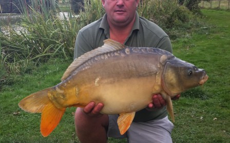 A carp from Lillypool, Martin, Sep 2012