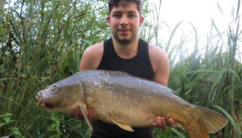 A 22 lb 8 oz carp from Lillypool, Alex Cook, Jun 2014