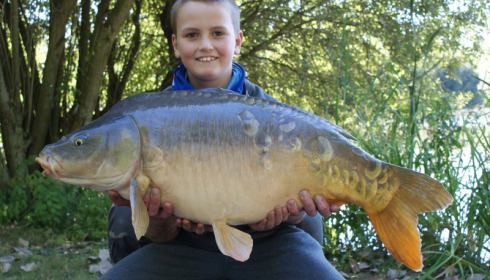 A 34 lb 3 oz carp from Lillypool, Martin Green , Sep 2013