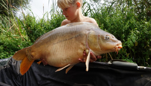 A 27 lb 8 oz carp from Lillypool, Callum Gordon, Aug 2015