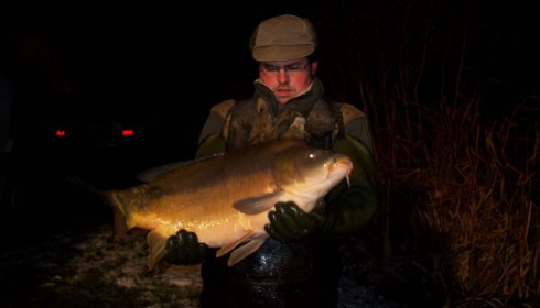 A carp from Lillypool, Fish stocked Dec 09, Dec 2009