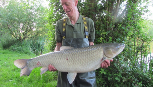 A 34 lb 12 oz grass carp from Lillypool, Darren Ford, May 2018