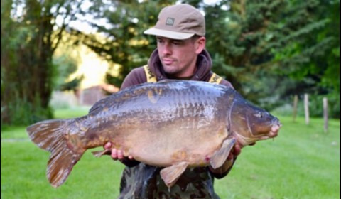 A 36 lb carp from Lillypool, Lee Fisher, Jun 2019