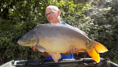 A 23 lb 10 oz carp from Lillypool, Stewart Bridge, Sep 2015