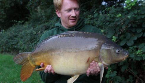 A 31 lb 4 oz carp from Lillypool, Darren, Oct 2013