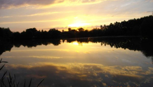 A carp from Lillypool, (Dusk)by Alan watson, May 2011