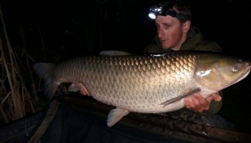 A 33 lb carp from Lillypool, Jason Kennerley, Oct 2017