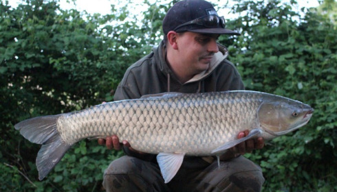 A 21 lb 5 oz grass carp from Lillypool, Chris Hayward, May 2018