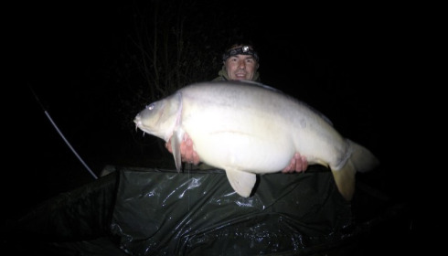 A carp from Lillypool, Craig Sheffield, Apr 2016