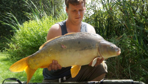 A 22 lb carp from Lillypool, Steve Perry, Aug 2014