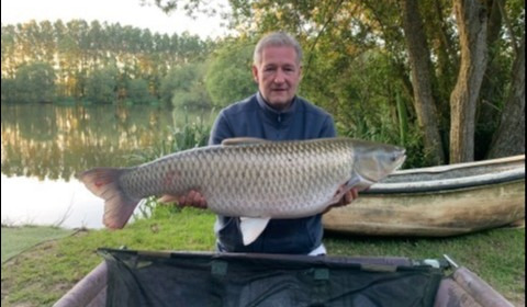 A 38 lb 8 oz grass carp from Lillypool, Michael kelly, Jun 2019