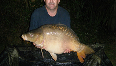 A 31 lb carp from Lillypool, Mark Smith, Jul 2017