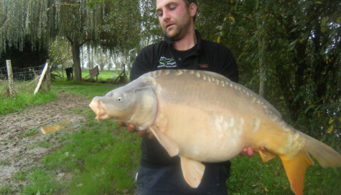 A carp from Lillypool, D Watkin, Oct 2012