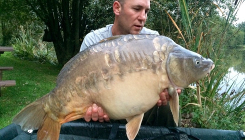 A 27 lb carp from Lillypool, Dave Levett, Oct 2015