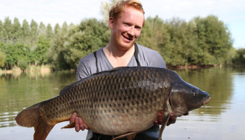 A 40 lb 8 oz carp from Lillypool, Darren, Oct 2013