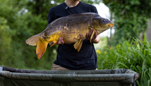 A 32 lb fish from Linstant, May 2023