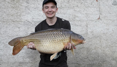 A 27 lb carp from Mas Bas Lotus Lake, Danny Milner, Jul 2015