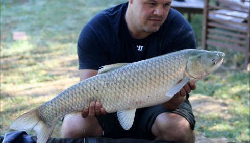 A grass carp from Mas Bas Lotus Lake, Tony Harbour, Aug 2018