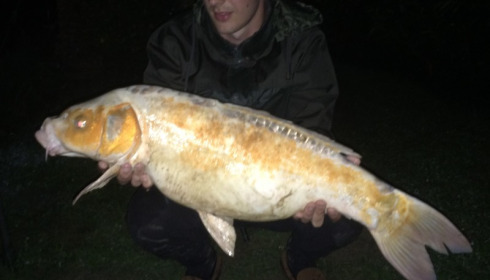A 20 lb carp from Mas Bas Lotus Lake, Lloyd Benson, Jun 2016
