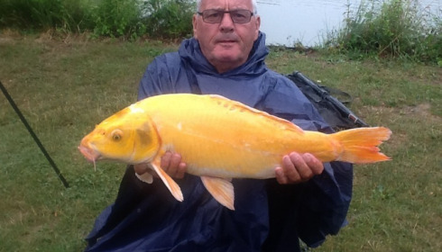 A carp from Mas Bas Lotus Lake, John Welch, Jun 2014