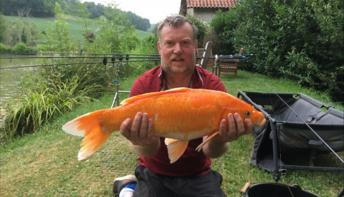 A 20 lb 1 oz carp from Mas Bas Lotus Lake, David Haywood, Jul 2017
