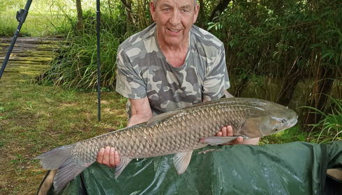 A fish from Mas Bas Lotus Lake, Grass carp, Jun 2022