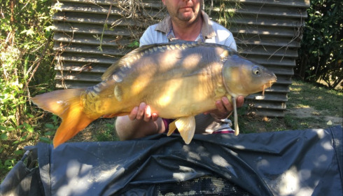 A 27 lb 12 oz carp from Mas Bas Lotus Lake, Andrew Smith, Sep 2019