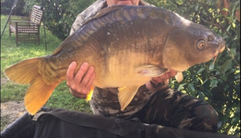 A 30 lb 4 oz carp from Mas Bas Lotus Lake, Stephen Scott, Jun 2019