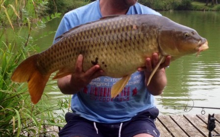 A carp from Mas Bas Lotus Lake, James Harford, Jul 2014