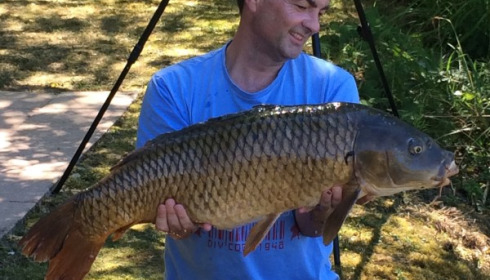A carp from Mas Bas Lotus Lake, James Harford, Aug 2016