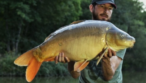 A carp from Mas Bas Lotus Lake, Stu Smith, Aug 2017