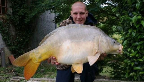 A 31 lb 3 oz carp from Mas Bas Lotus Lake, May 2011