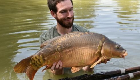 A carp from Mas Bas Lotus Lake, Stu Smith, Aug 2017