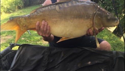 A 31 lb 1 oz carp from Mas Bas Lotus Lake, Stephen Scott, Jun 2019