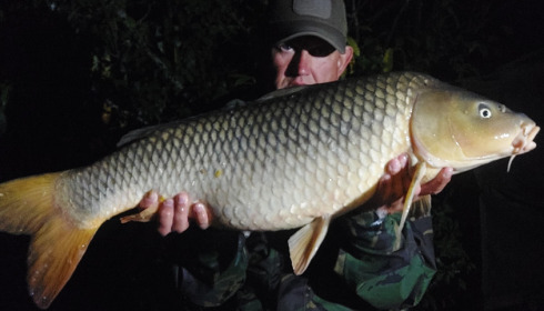 A carp from Mas Bas Lotus Lake, Daniel Newton, Aug 2022