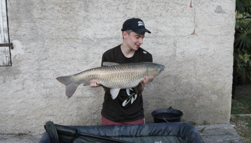 A 22 lb 8 oz carp from Mas Bas Lotus Lake, Danny Milner, Jul 2015